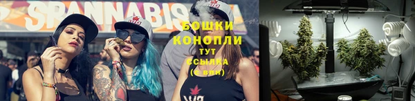 бошки Тавда