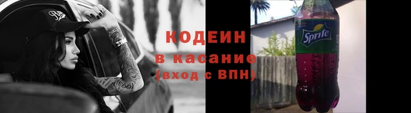 крисы Сясьстрой