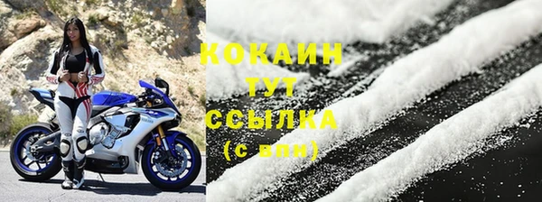 бошки Тавда