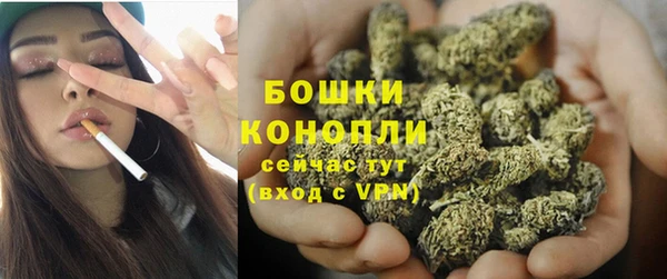 бошки Тавда