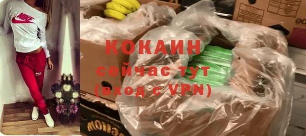 крисы Сясьстрой