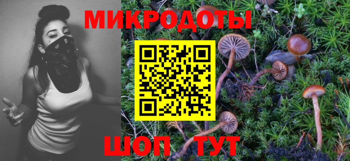 Псилоцибиновые грибы Cubensis Татарск